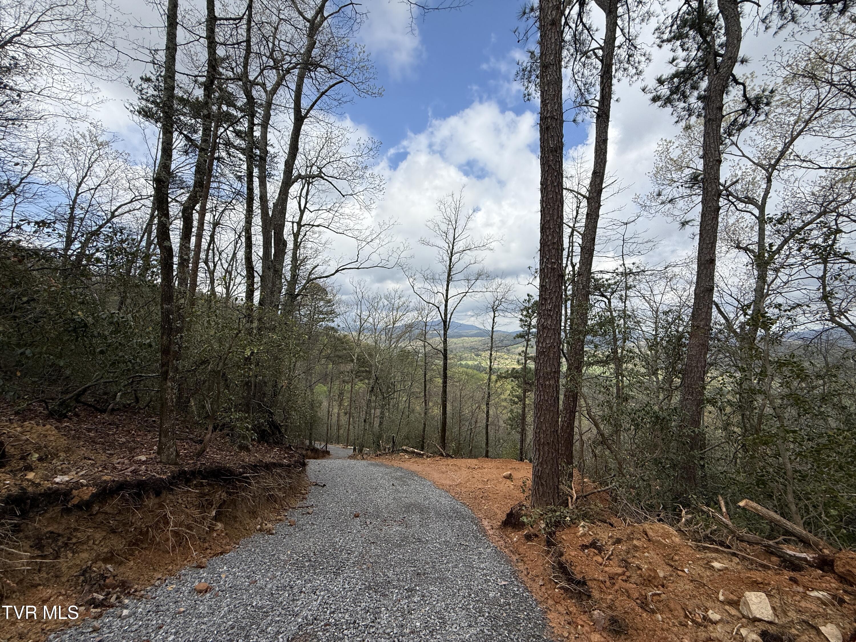 3.93 Acres Green Forest Road, Cosby, Tennessee image 4