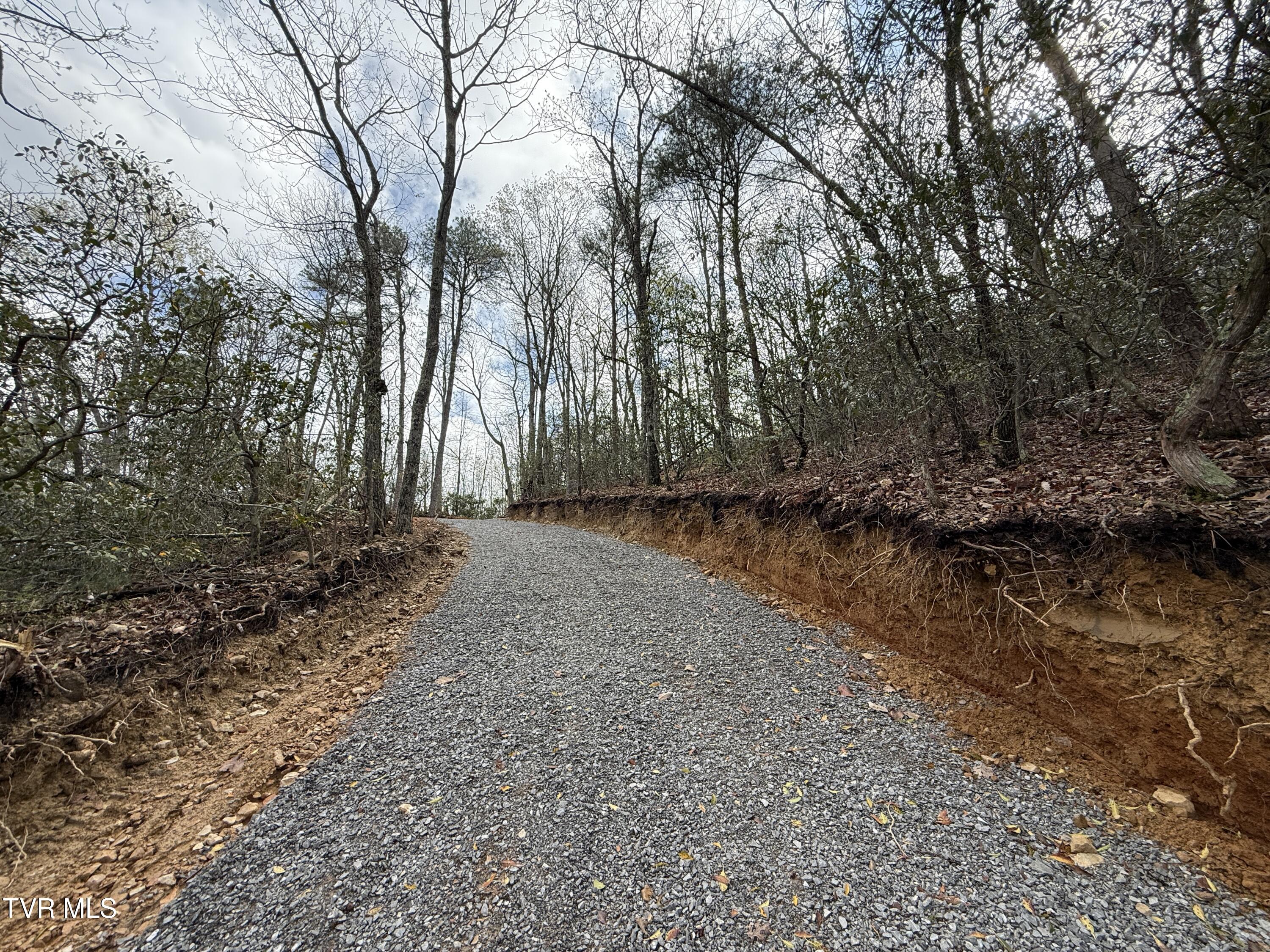 3.93 Acres Green Forest Road, Cosby, Tennessee image 12