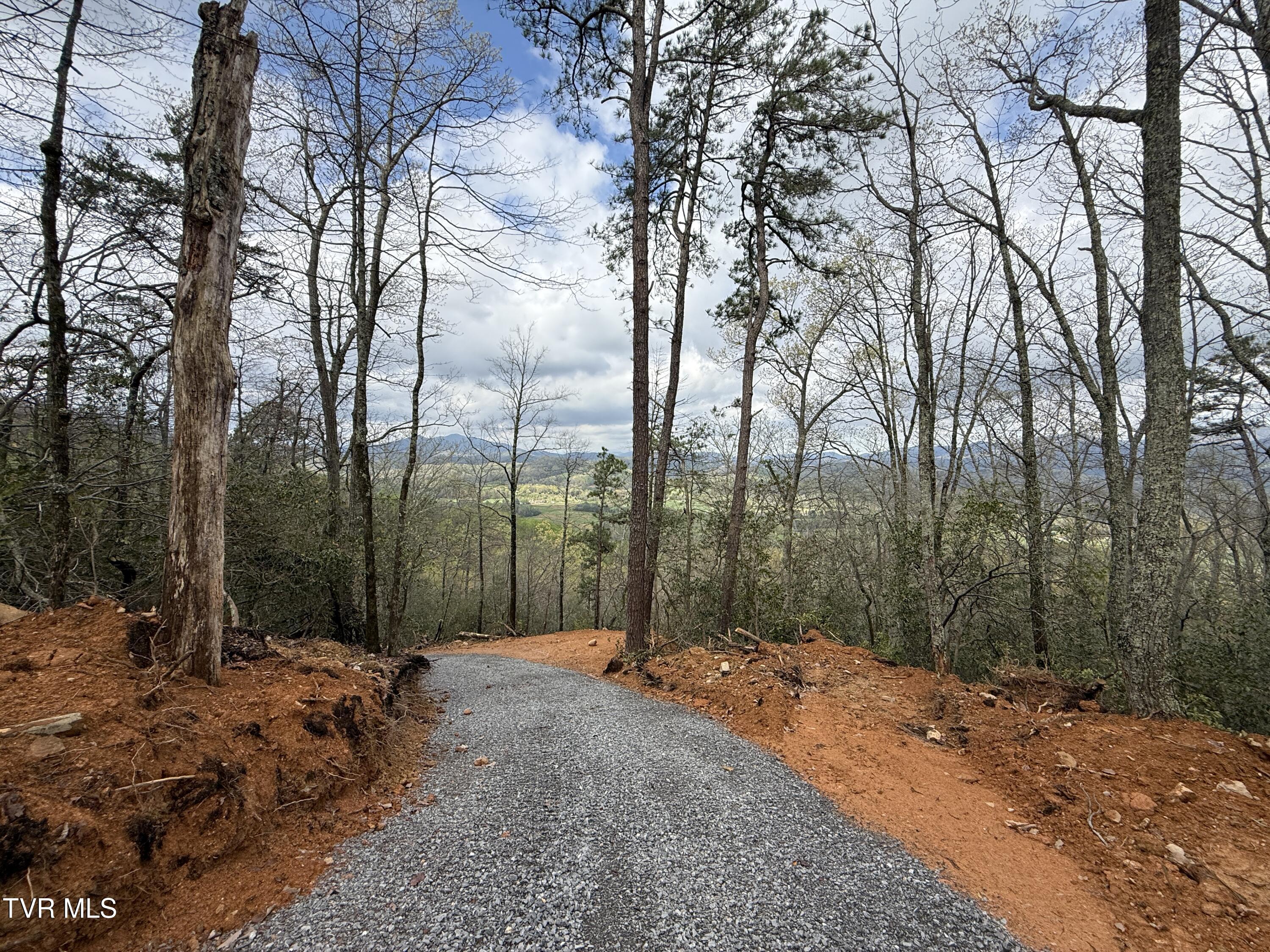 3.93 Acres Green Forest Road, Cosby, Tennessee image 11