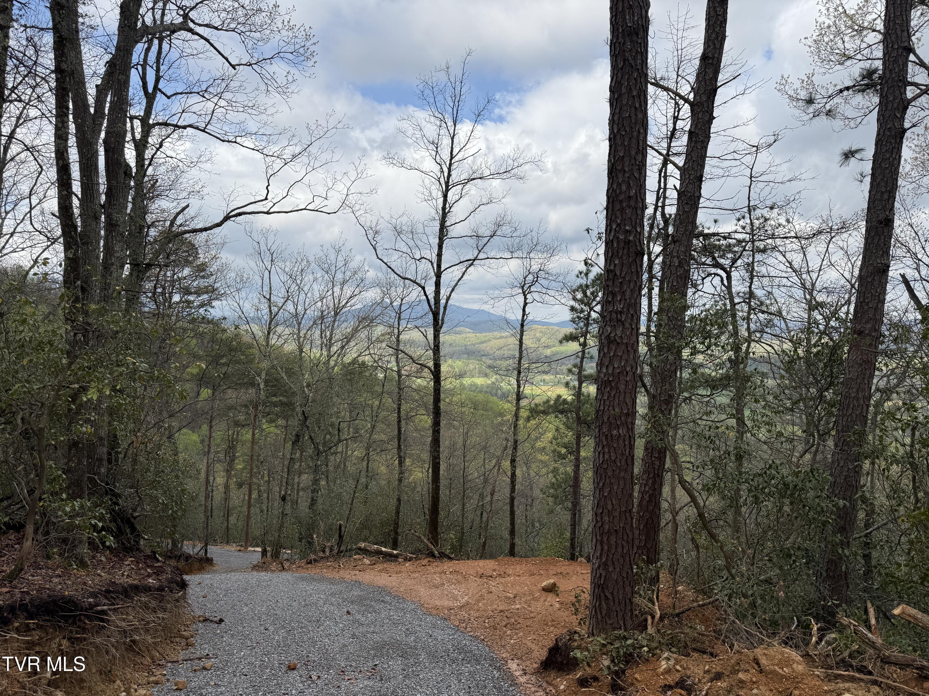 3.93 Acres Green Forest Road, Cosby, Tennessee image 17