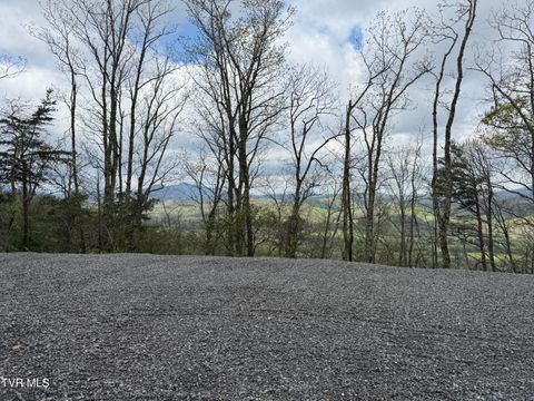 Vacant Land For Sale - 3.93 ACRES Green Forest Road<br/> Cosby, TN 37722