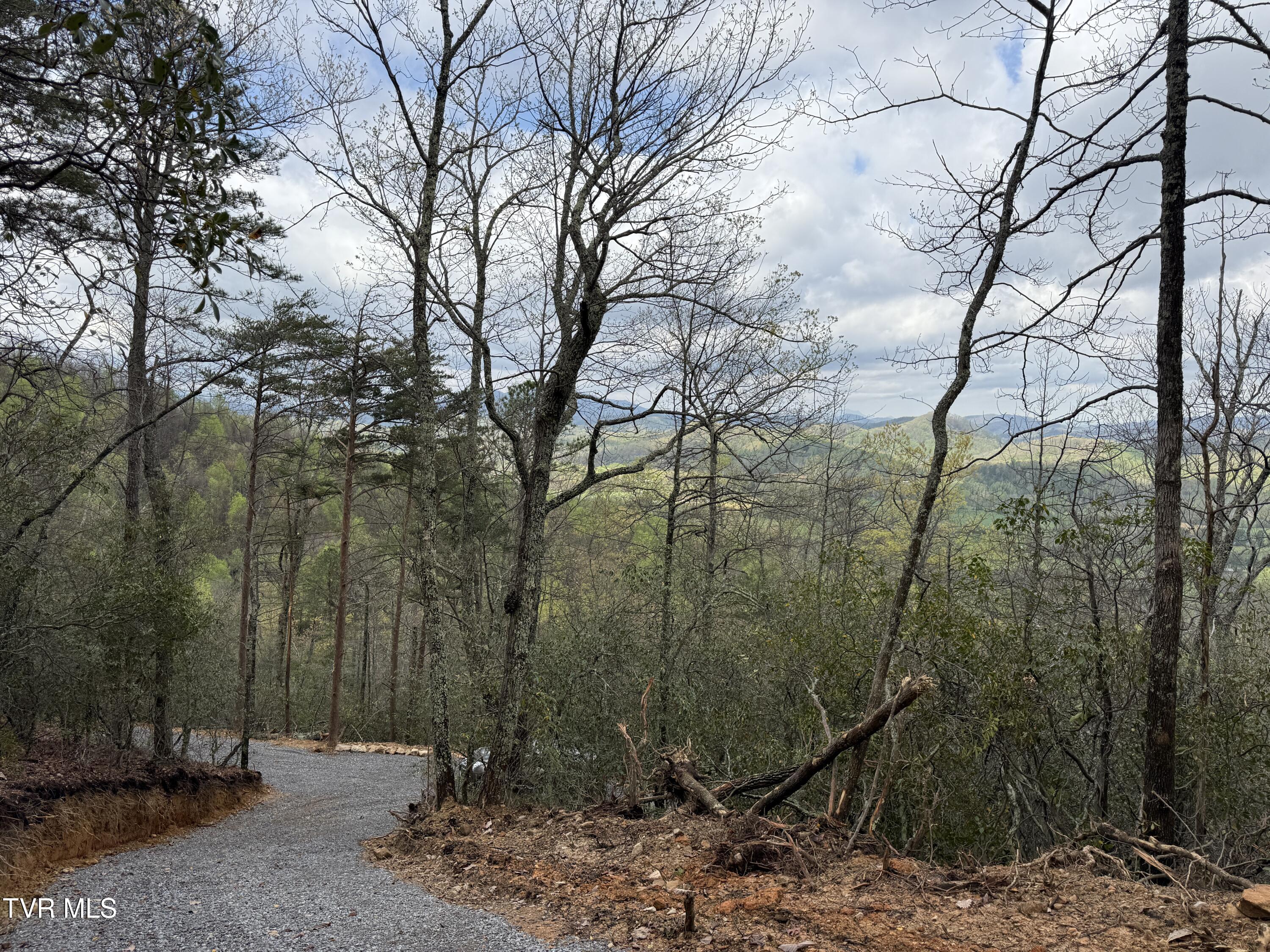 3.93 Acres Green Forest Road, Cosby, Tennessee image 16