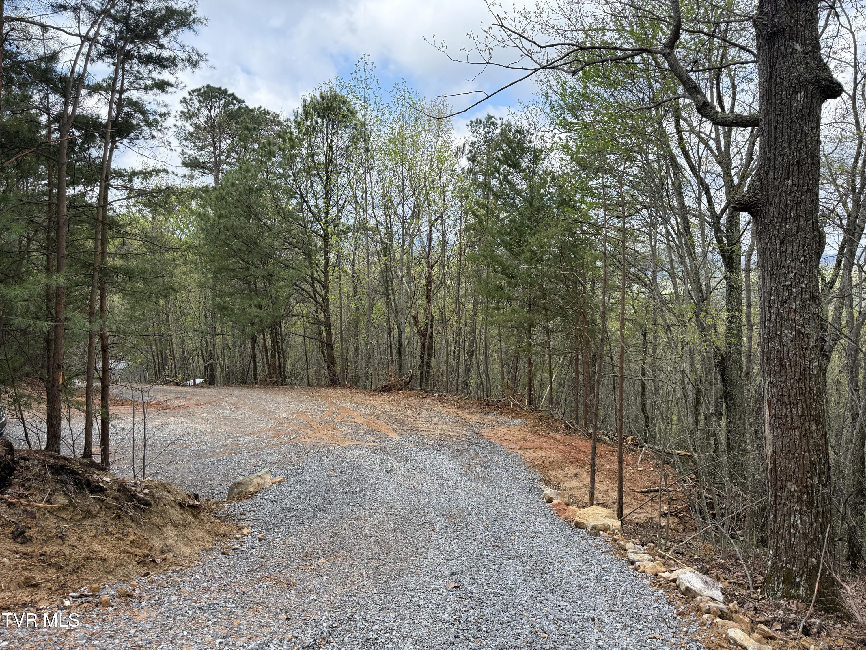 3.93 Acres Green Forest Road, Cosby, Tennessee image 21