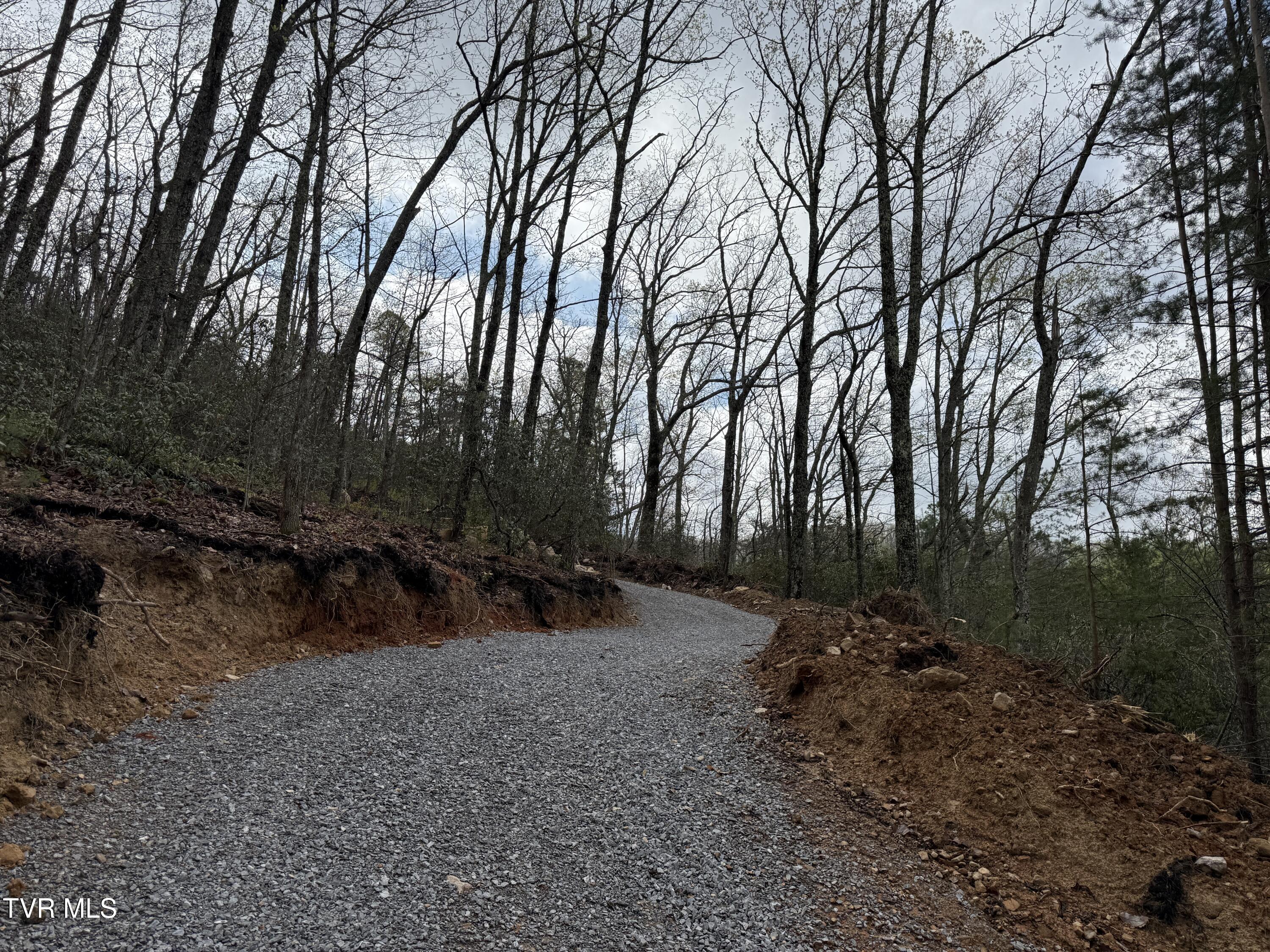 3.93 Acres Green Forest Road, Cosby, Tennessee image 15