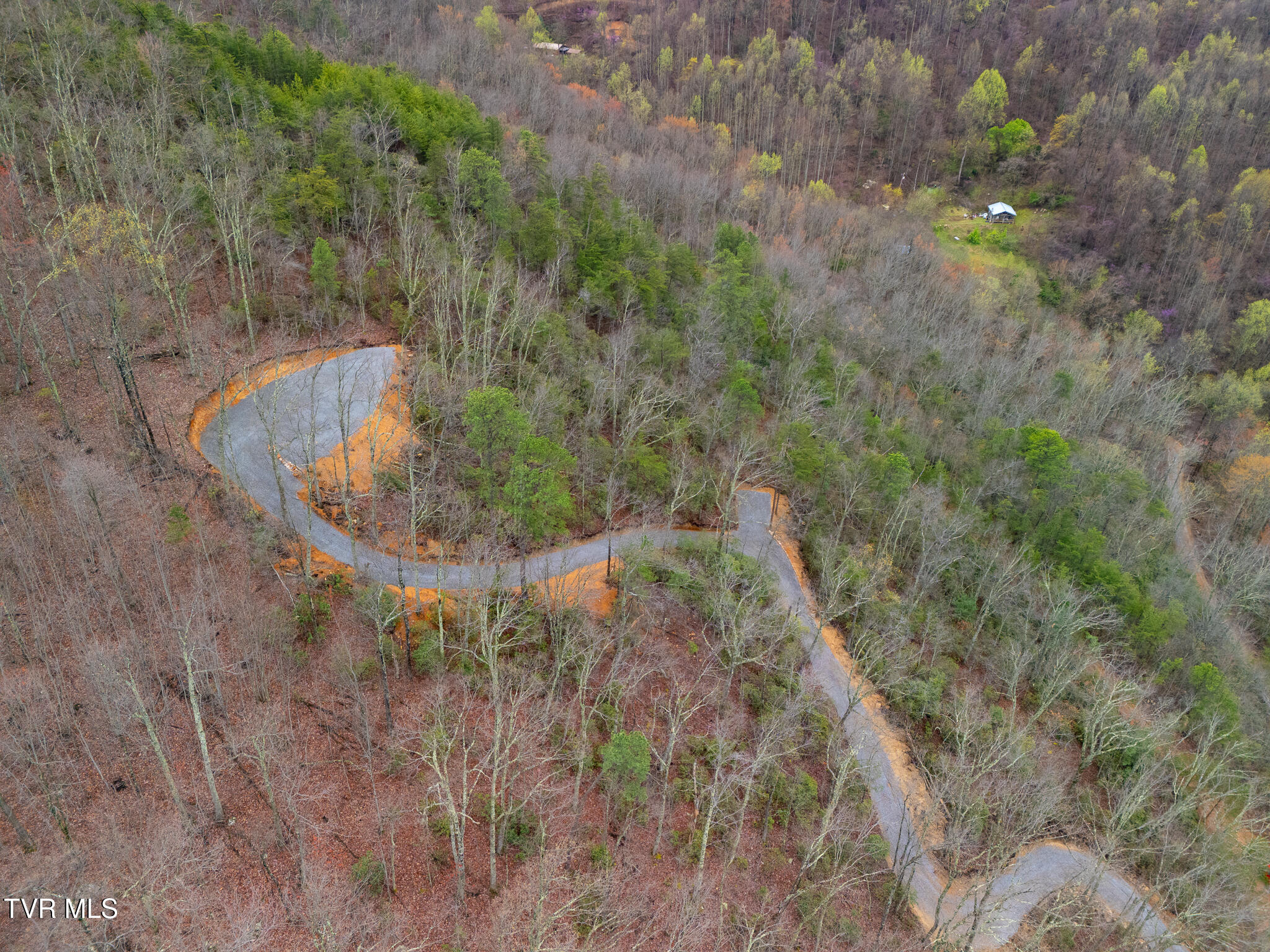 3.93 Acres Green Forest Road, Cosby, Tennessee image 7