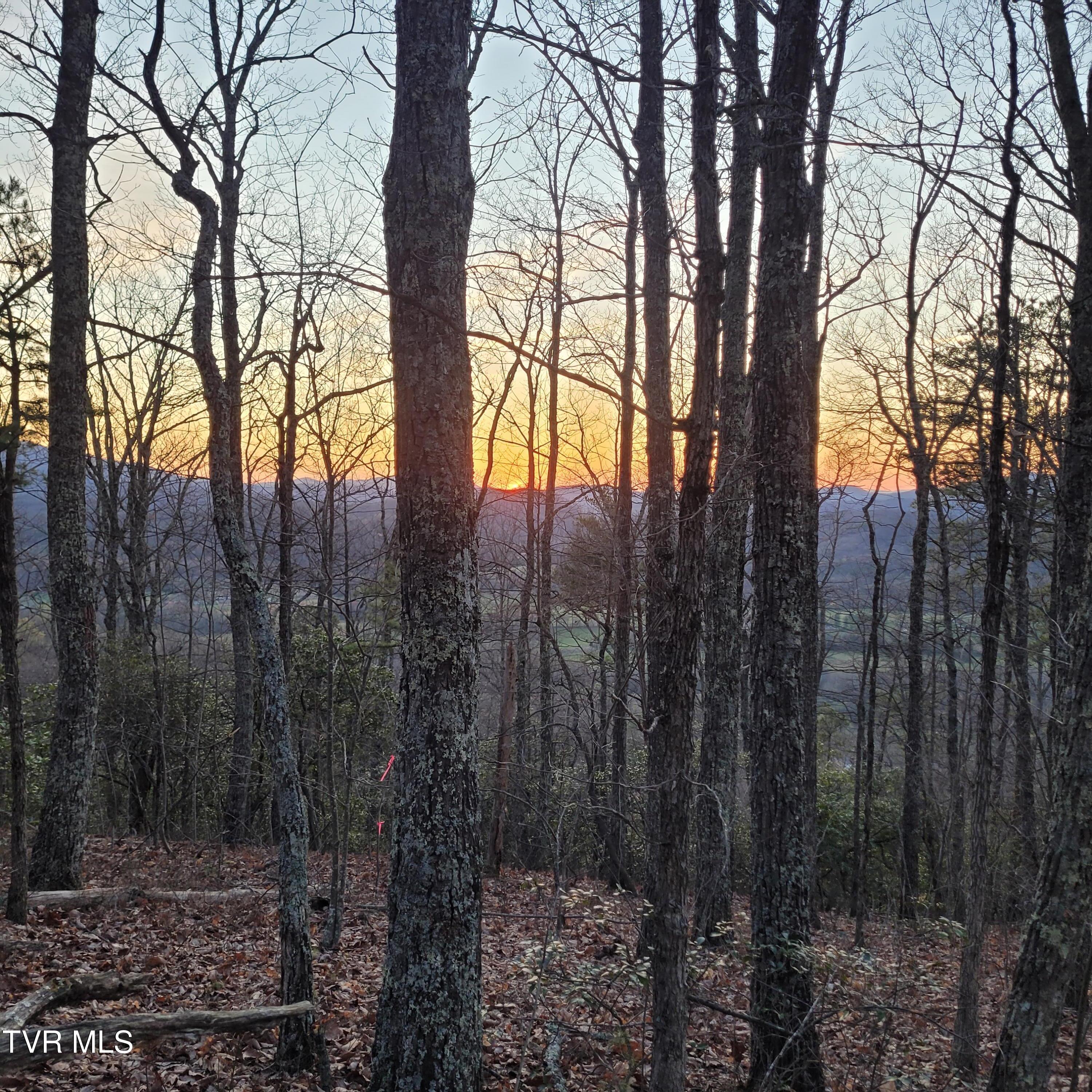 3.93 Acres Green Forest Road, Cosby, Tennessee image 24
