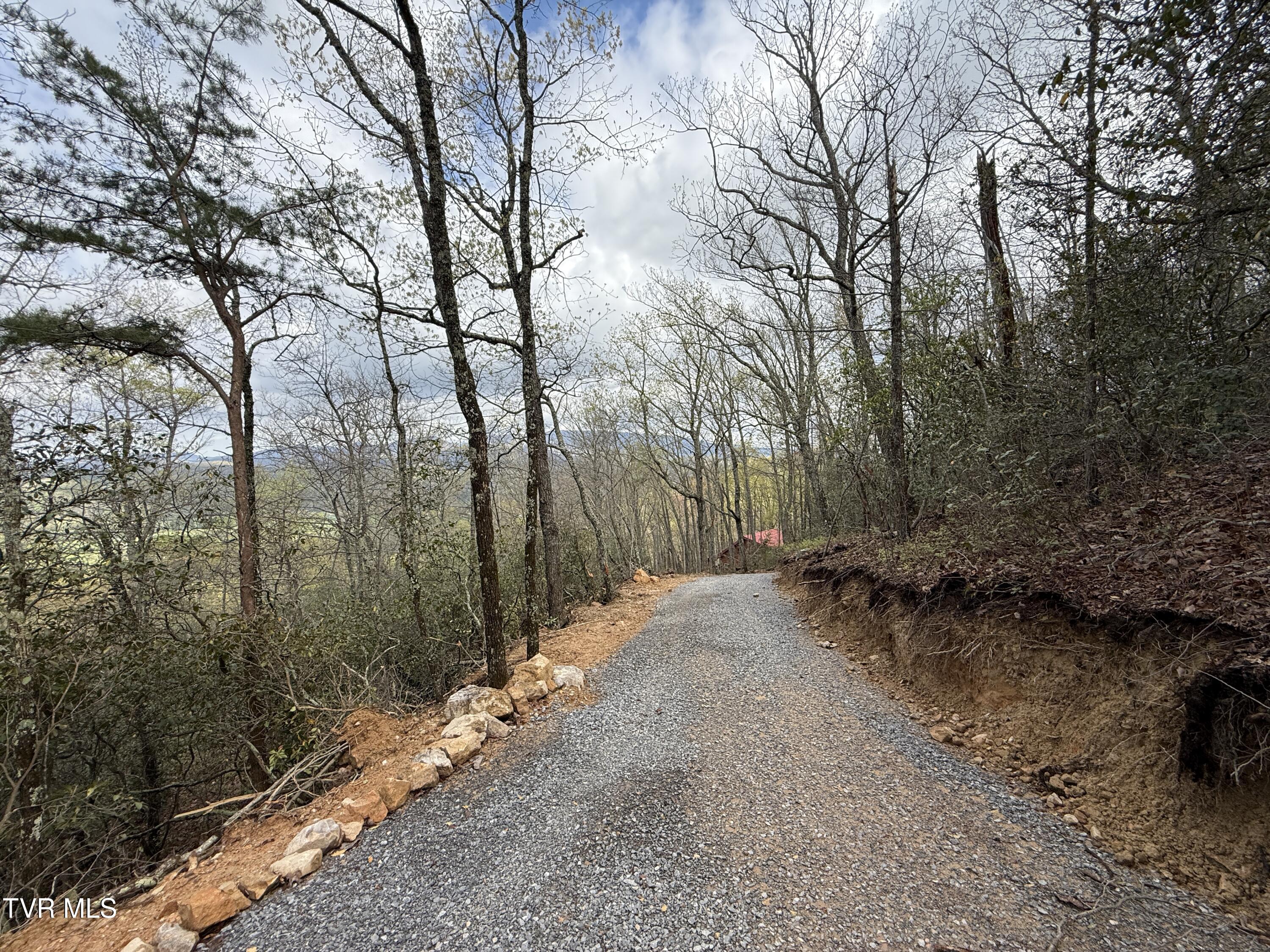 3.93 Acres Green Forest Road, Cosby, Tennessee image 10