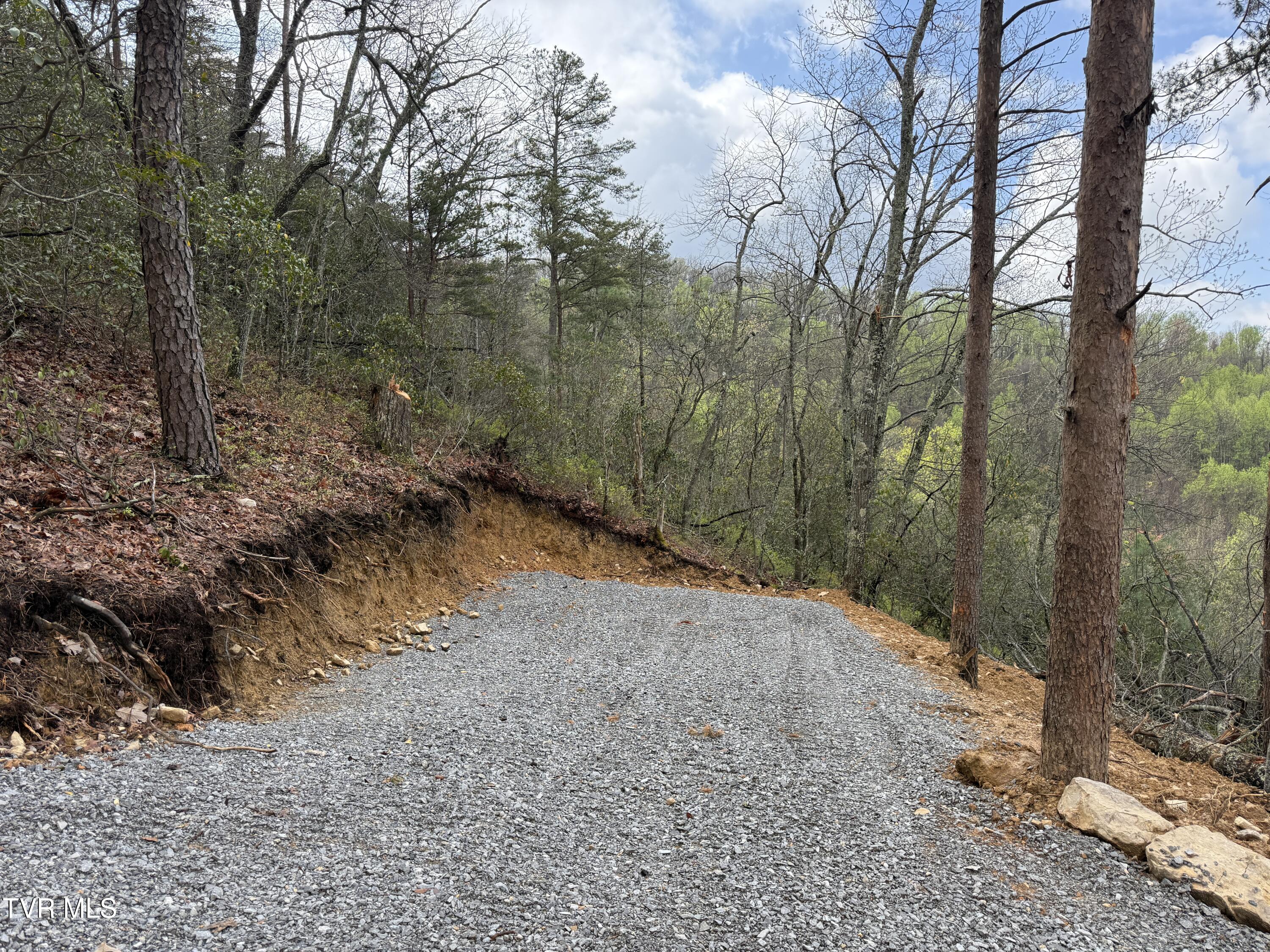 3.93 Acres Green Forest Road, Cosby, Tennessee image 13