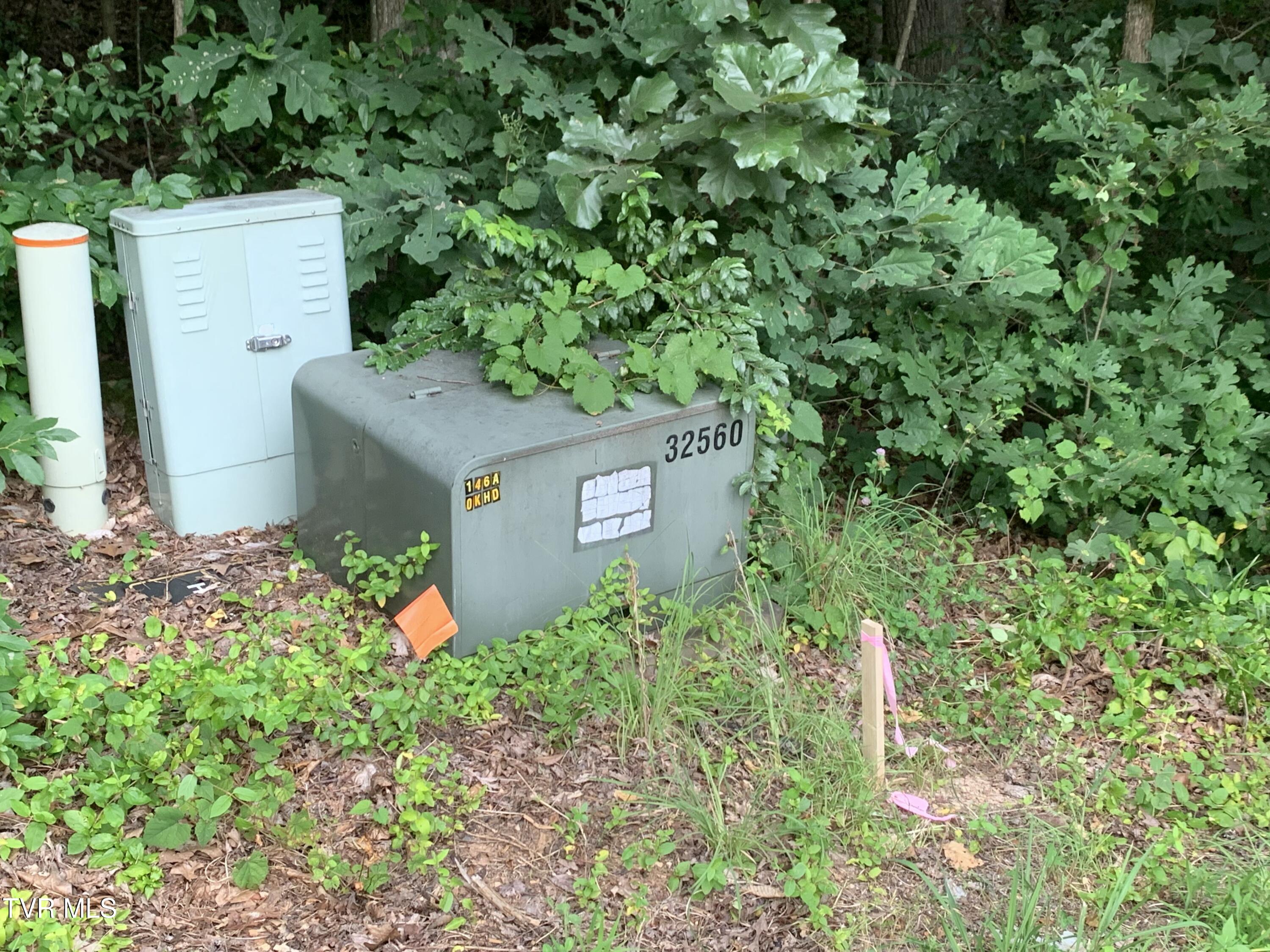 Arnold Palmer Dr, Greeneville, Tennessee image 6