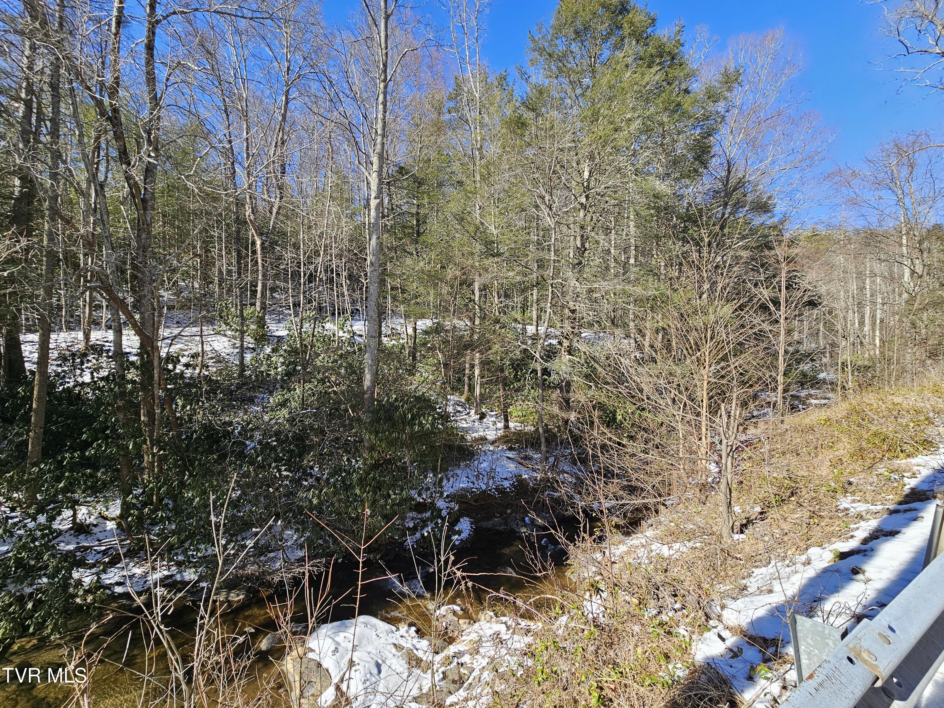 Tbd Viking Mtn Road, Greeneville, Tennessee image 4