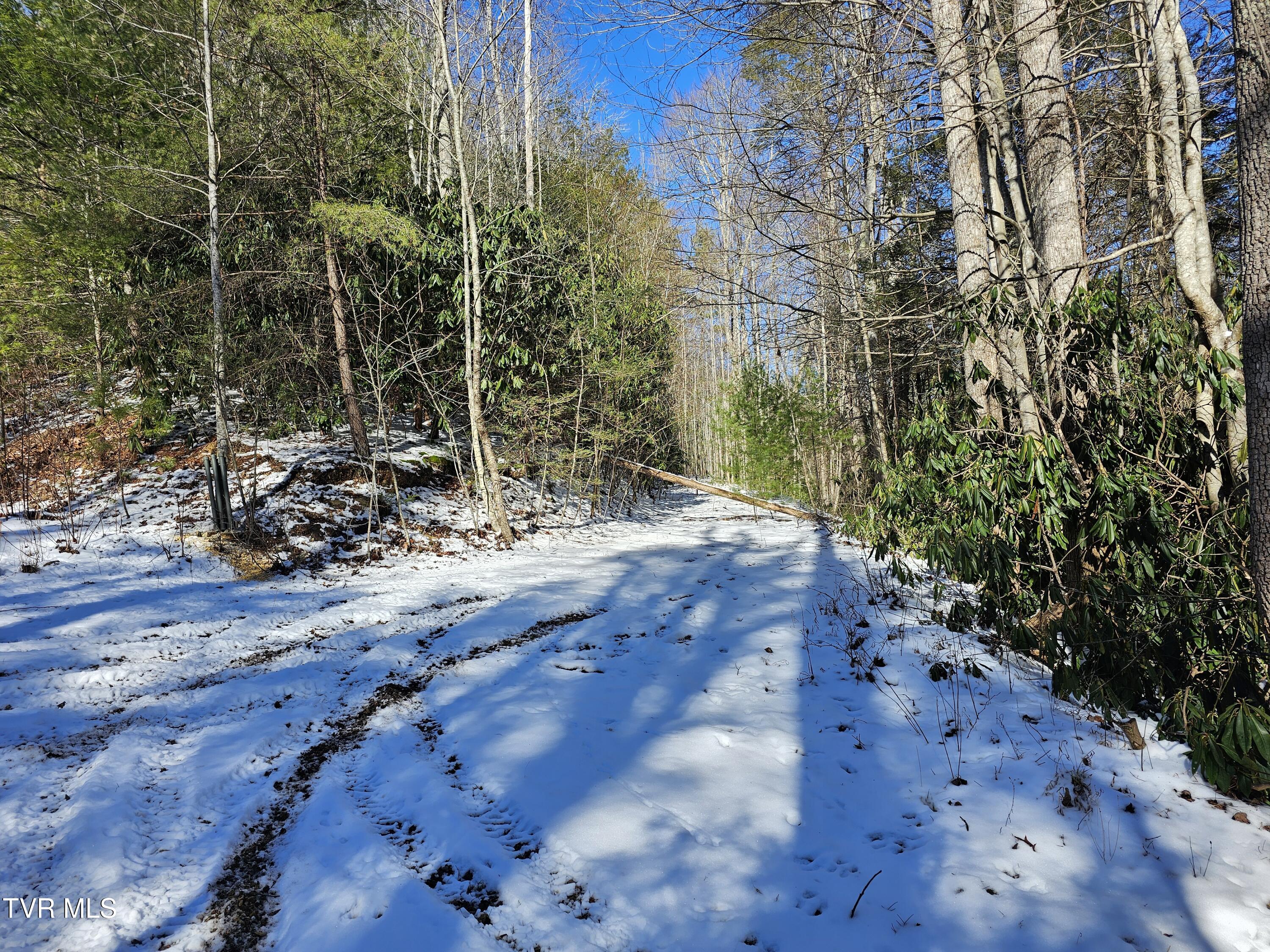 Tbd Viking Mtn Road, Greeneville, Tennessee image 3