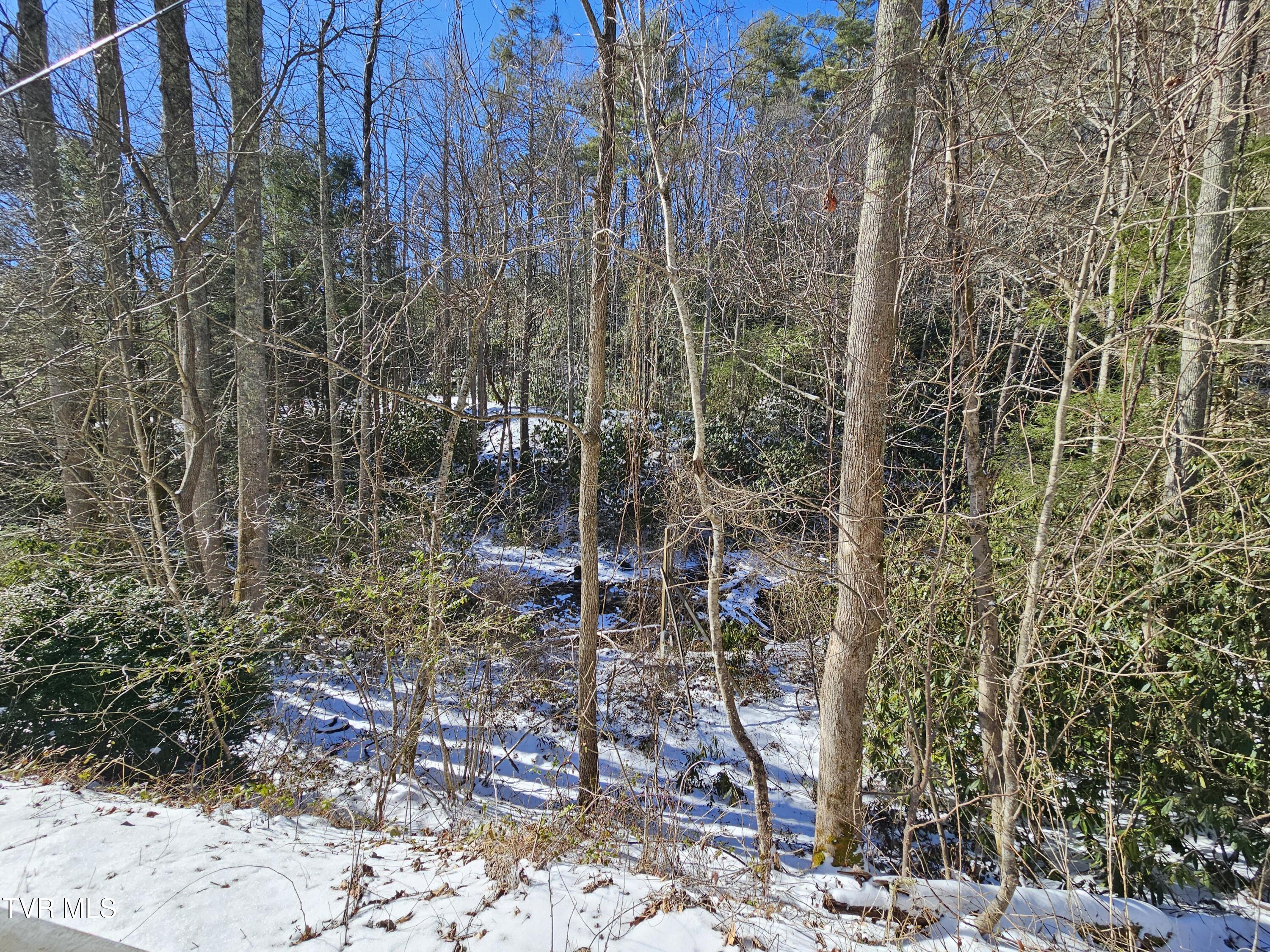 Tbd Viking Mtn Road, Greeneville, Tennessee image 9