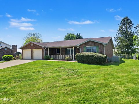 Photo of 108 Smokey View Drive, Greeneville, TN 37745 (MLS # 9993824)