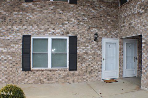 Photo of 730 Sir Echo Drive #8, Kingsport, TN 37663 (MLS # 9990618)