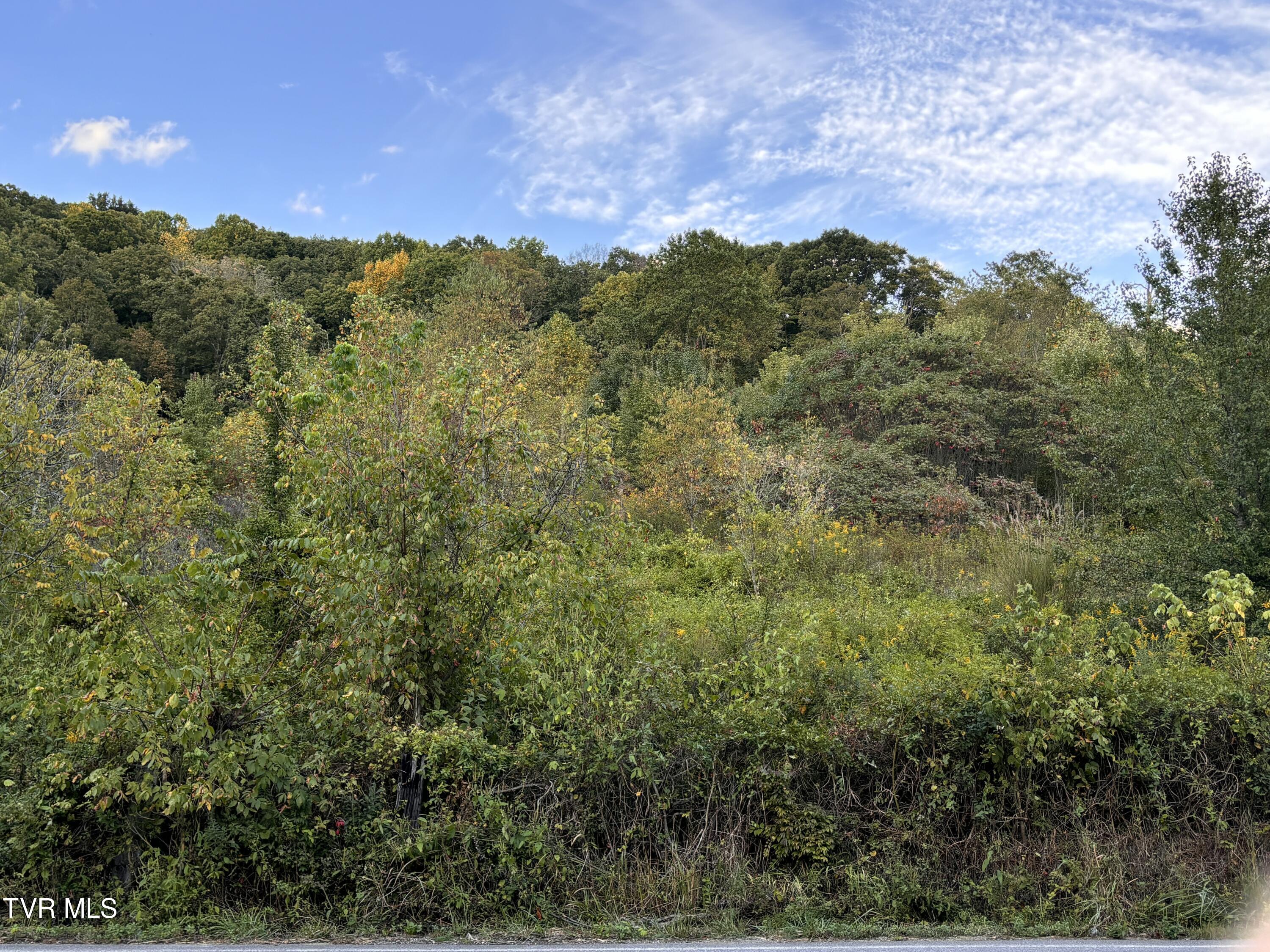 Gravely Valley Road, Surgoinsville, Tennessee image 4