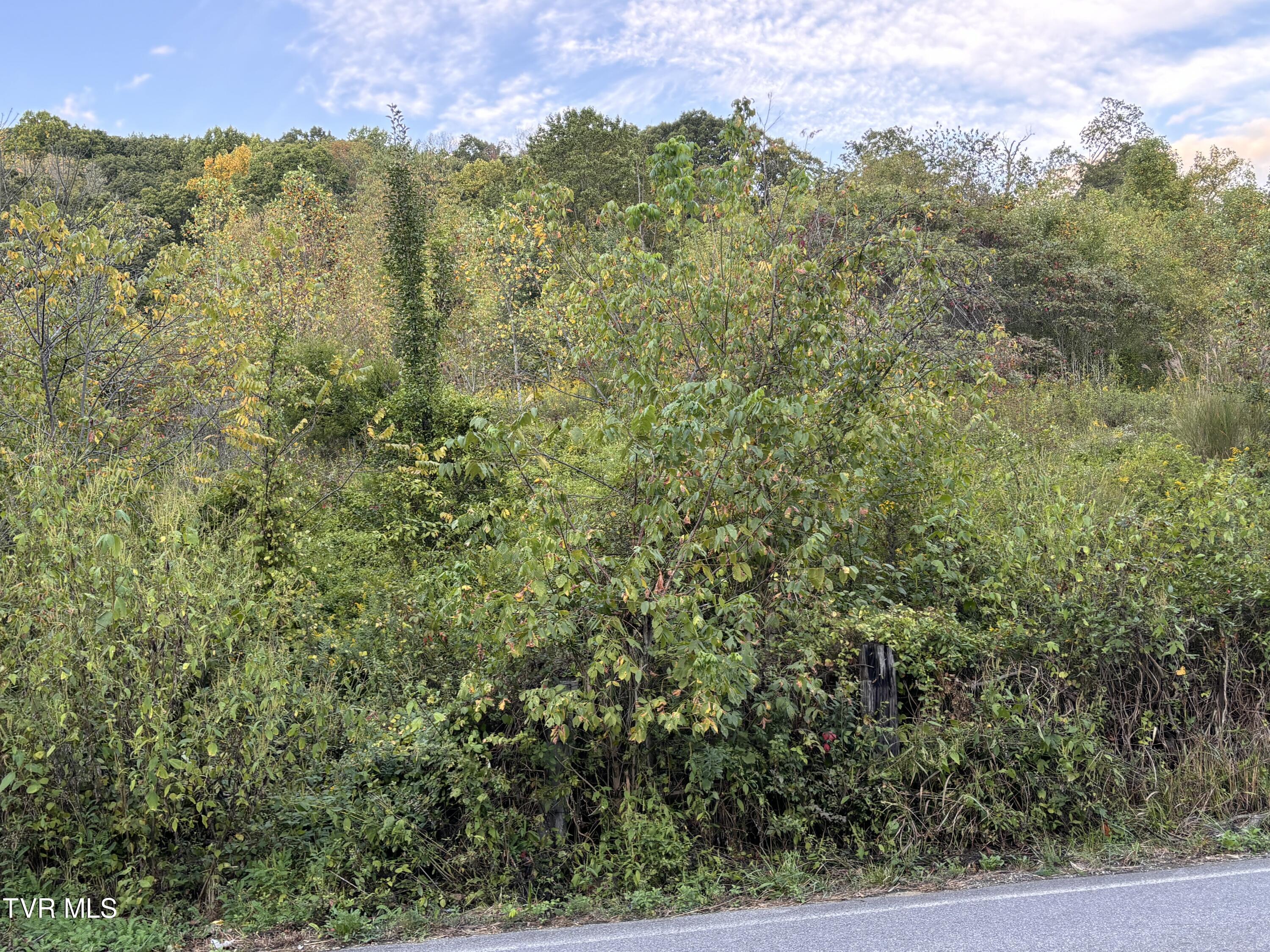 Gravely Valley Road, Surgoinsville, Tennessee image 3