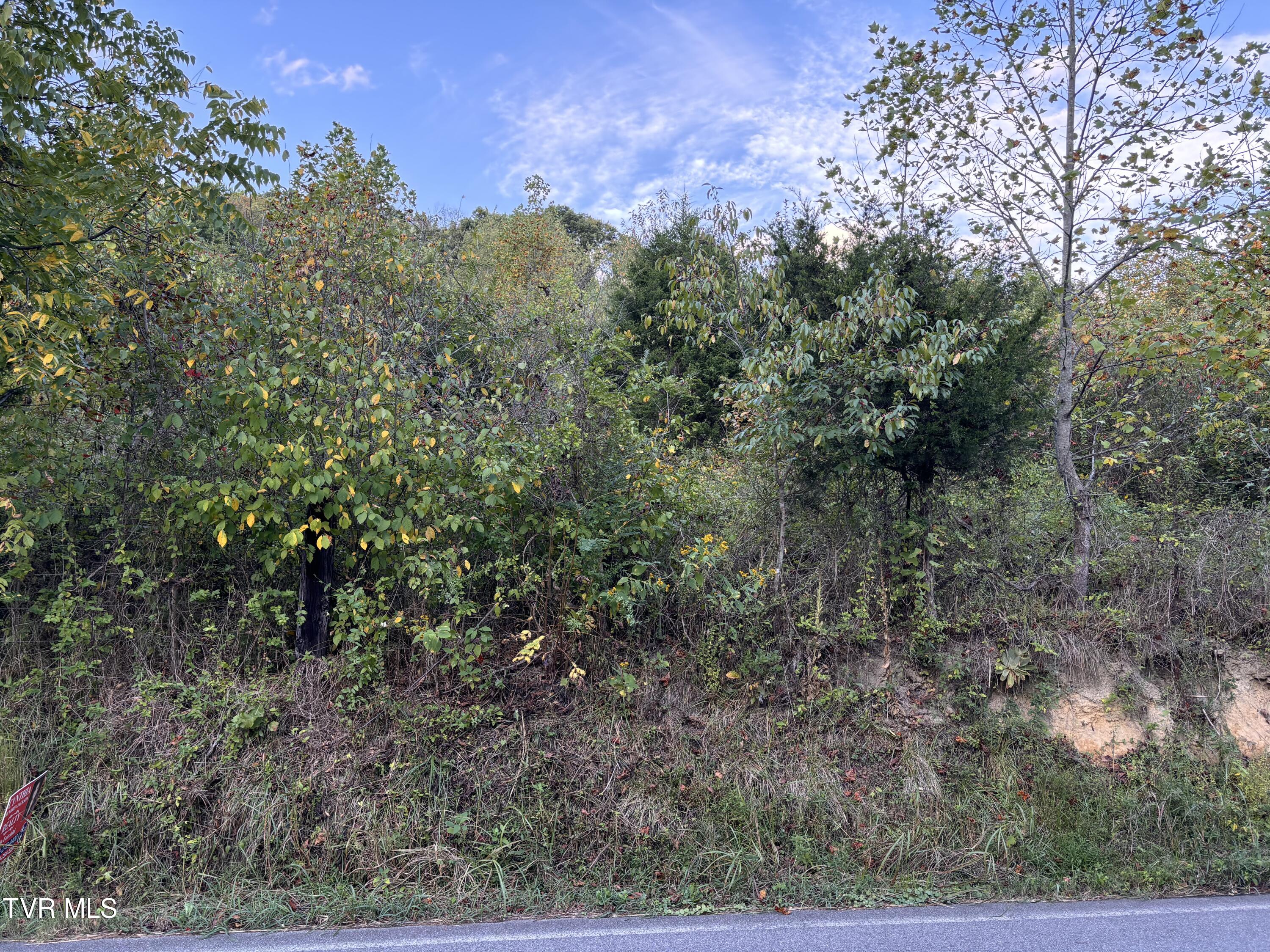 Gravely Valley Road, Surgoinsville, Tennessee image 6