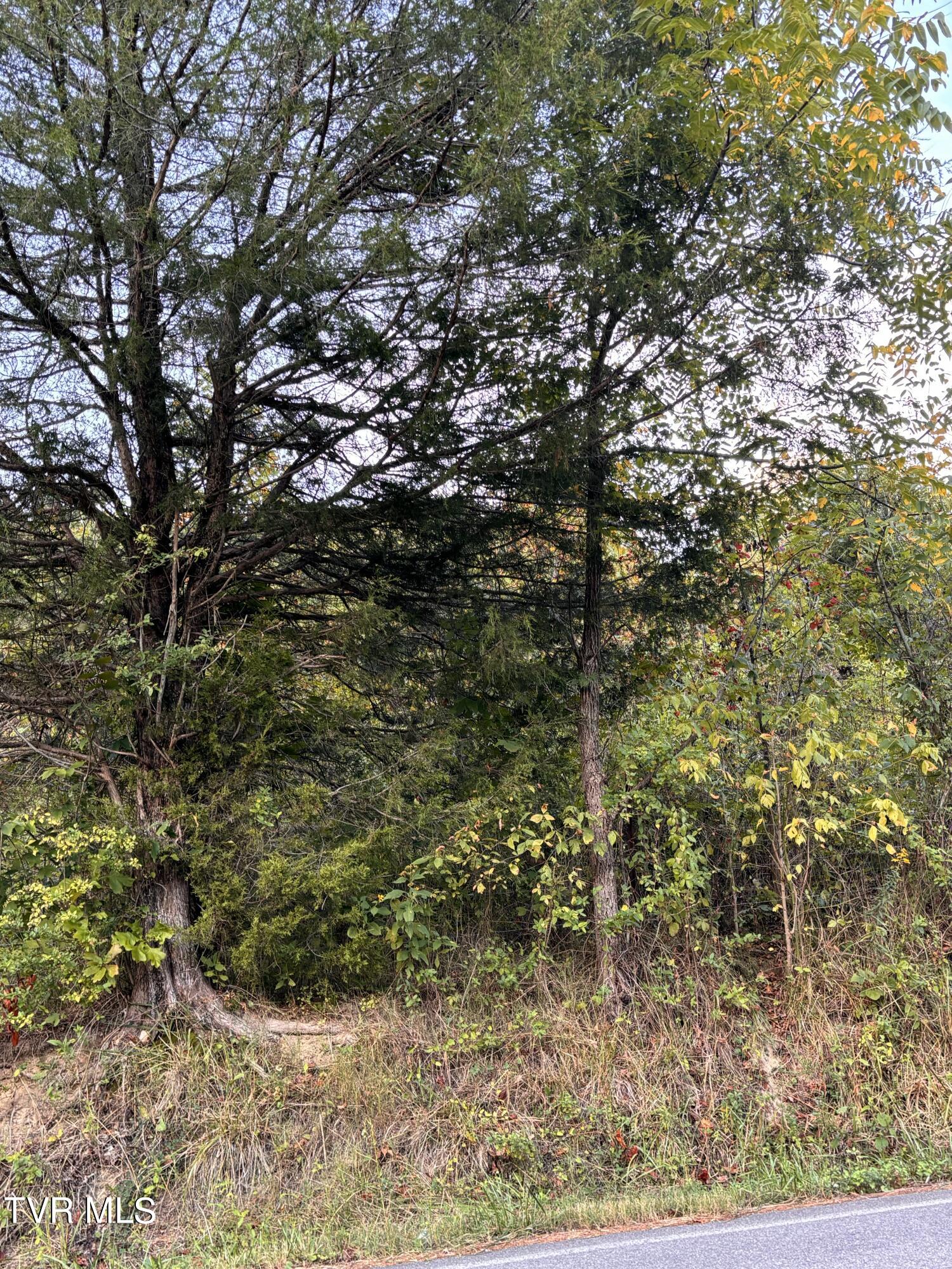 Gravely Valley Road, Surgoinsville, Tennessee image 7