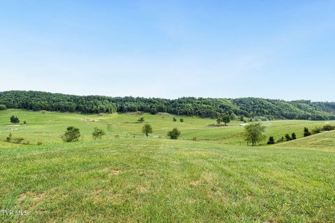 Vacant Land For Sale - LOT 5 Homestead Way<br/> Abingdon, VA 24211
