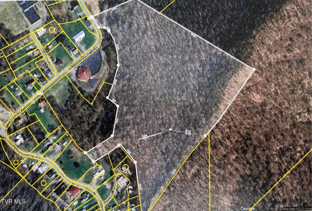 Photo of Tbd Allison Gap, Saltville, VA 24370 (MLS # 9983430)