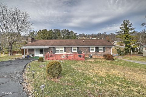 Homes For Sale - 270 Alders Place Extension<br/> Bristol, TN 37620