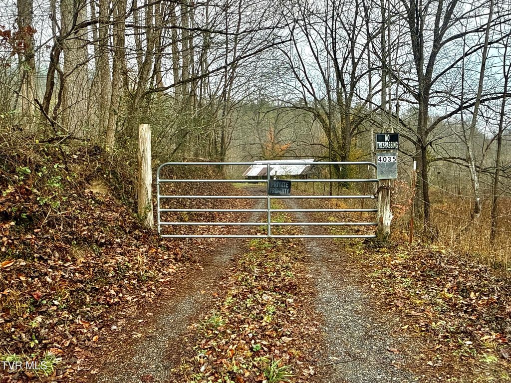 Photo of 4035 Lindsey Gap Road, Cosby, TN 37722 (MLS # 9989189)