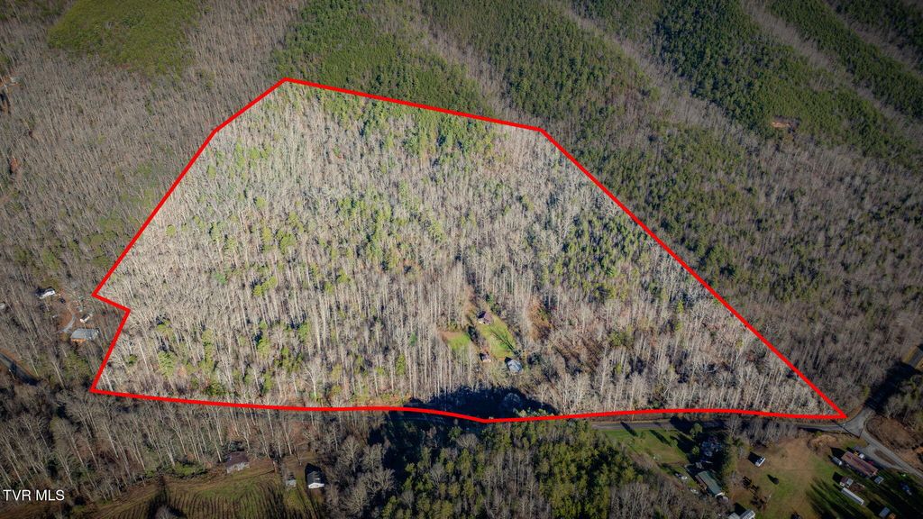 Photo of 4035 Lindsey Gap Road, Cosby, TN 37722 (MLS # 9989189)