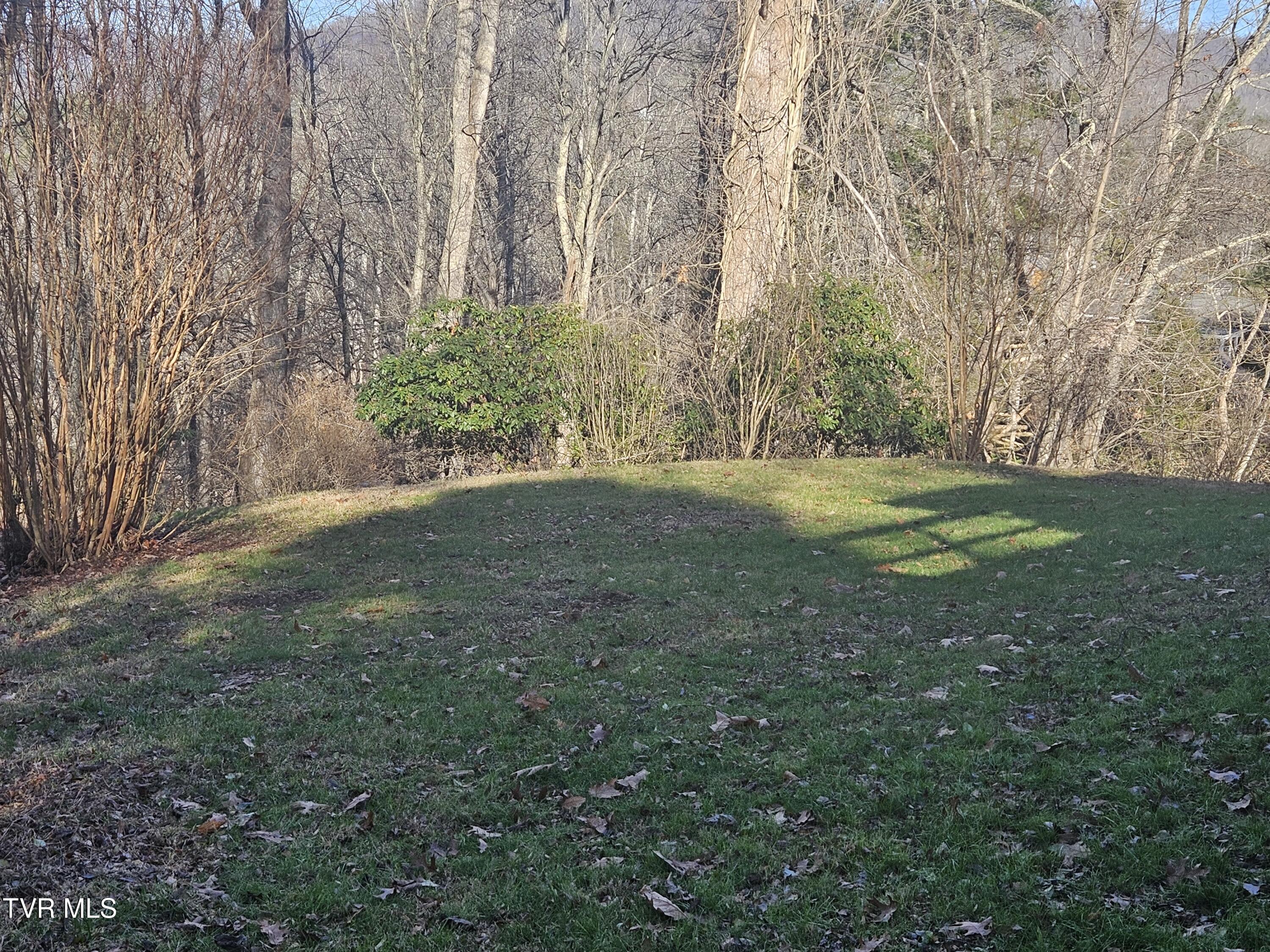 329 Chalet Drive, Coeburn, Virginia image 10