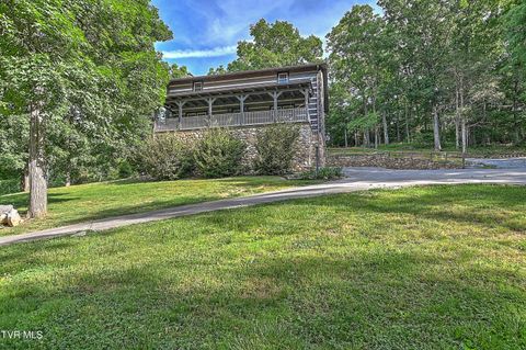 Photo of 375 Lick Hollow Road, Greeneville, TN 37743 (MLS # 9995836)