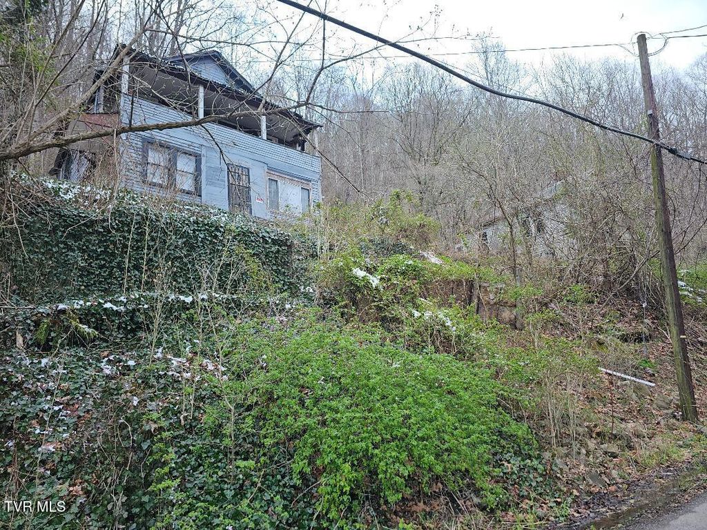 Photo of 308 Park Avenue, Appalachia, VA 24216 (MLS # 9992550)