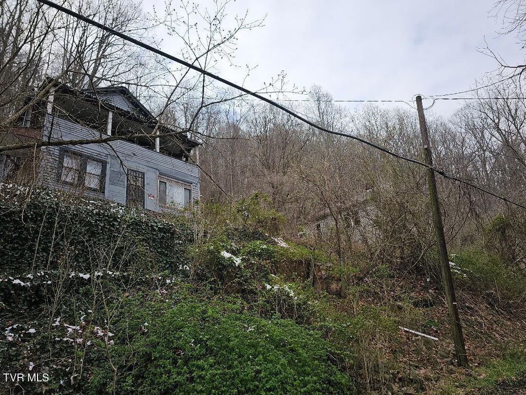 Photo of 308 Park Avenue, Appalachia, VA 24216 (MLS # 9992550)