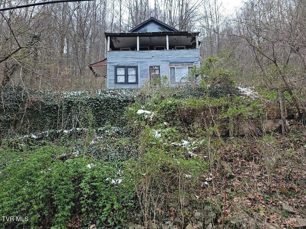 Photo of 308 Park Avenue, Appalachia, VA 24216 (MLS # 9992550)