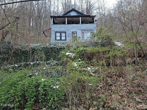 608 Park Avenue Appalachia VA 24216