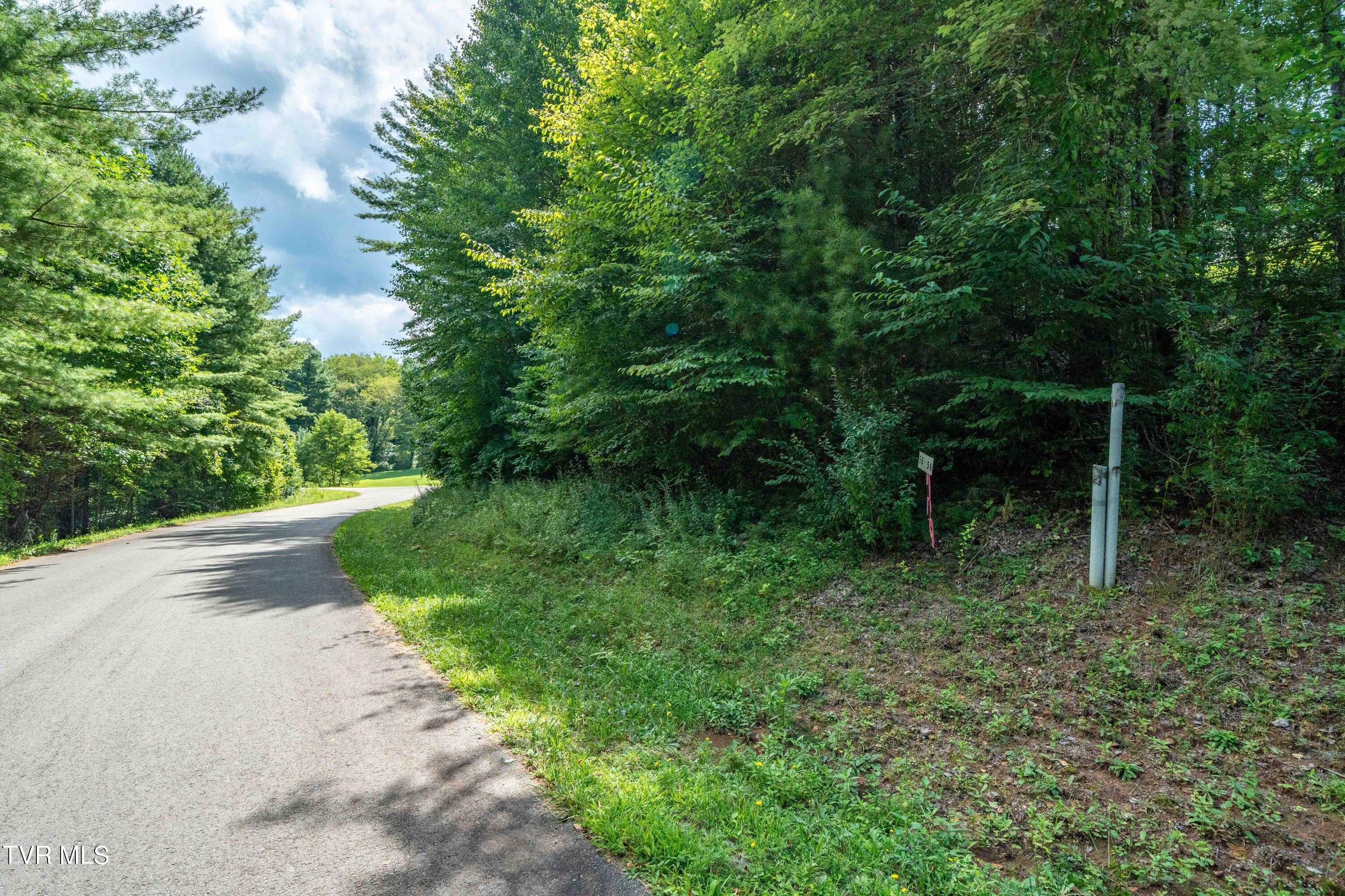 Lot # 55 Laurel Way, Mountain City, Tennessee image 14
