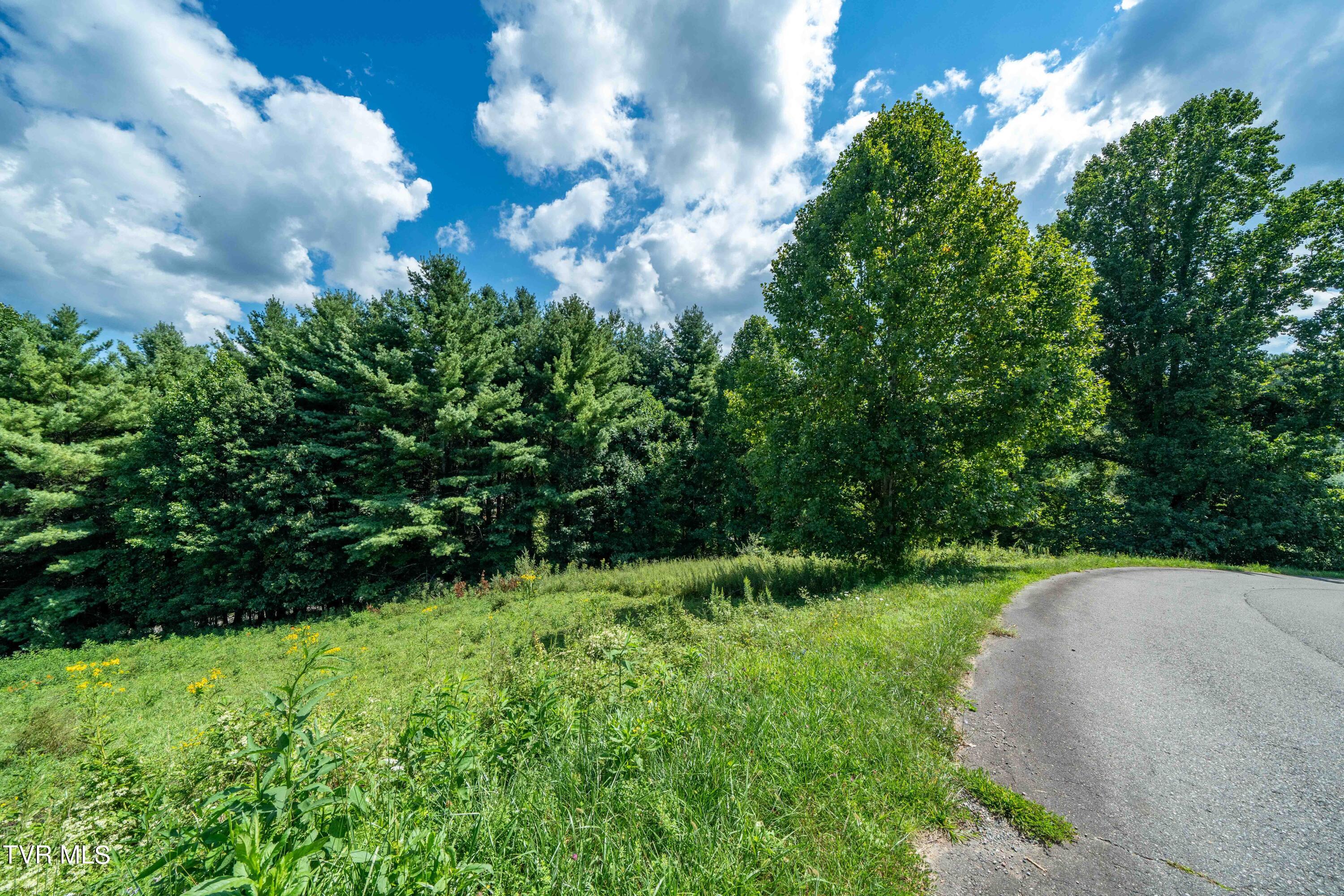 Lot # 55 Laurel Way, Mountain City, Tennessee image 12