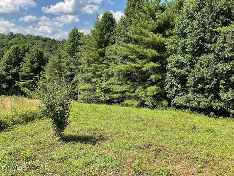 Vacant Land For Sale - LOT # 55 Laurel Way<br/> Mountain City, TN 37683