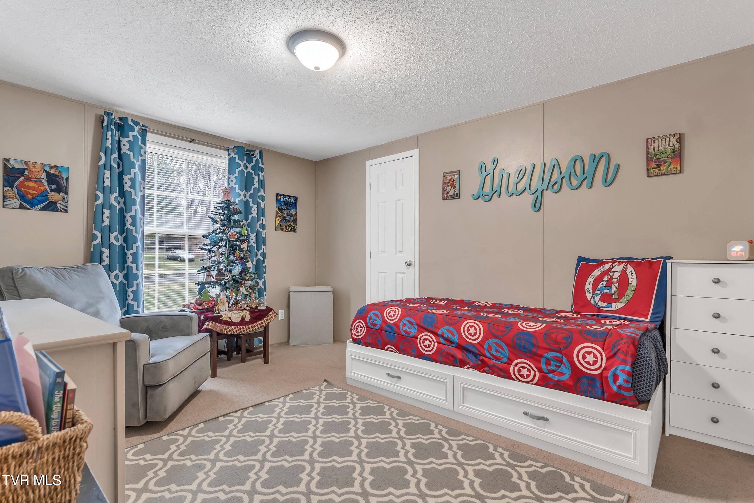 309 Sammons Pvt Drive, Blountville, Tennessee image 23