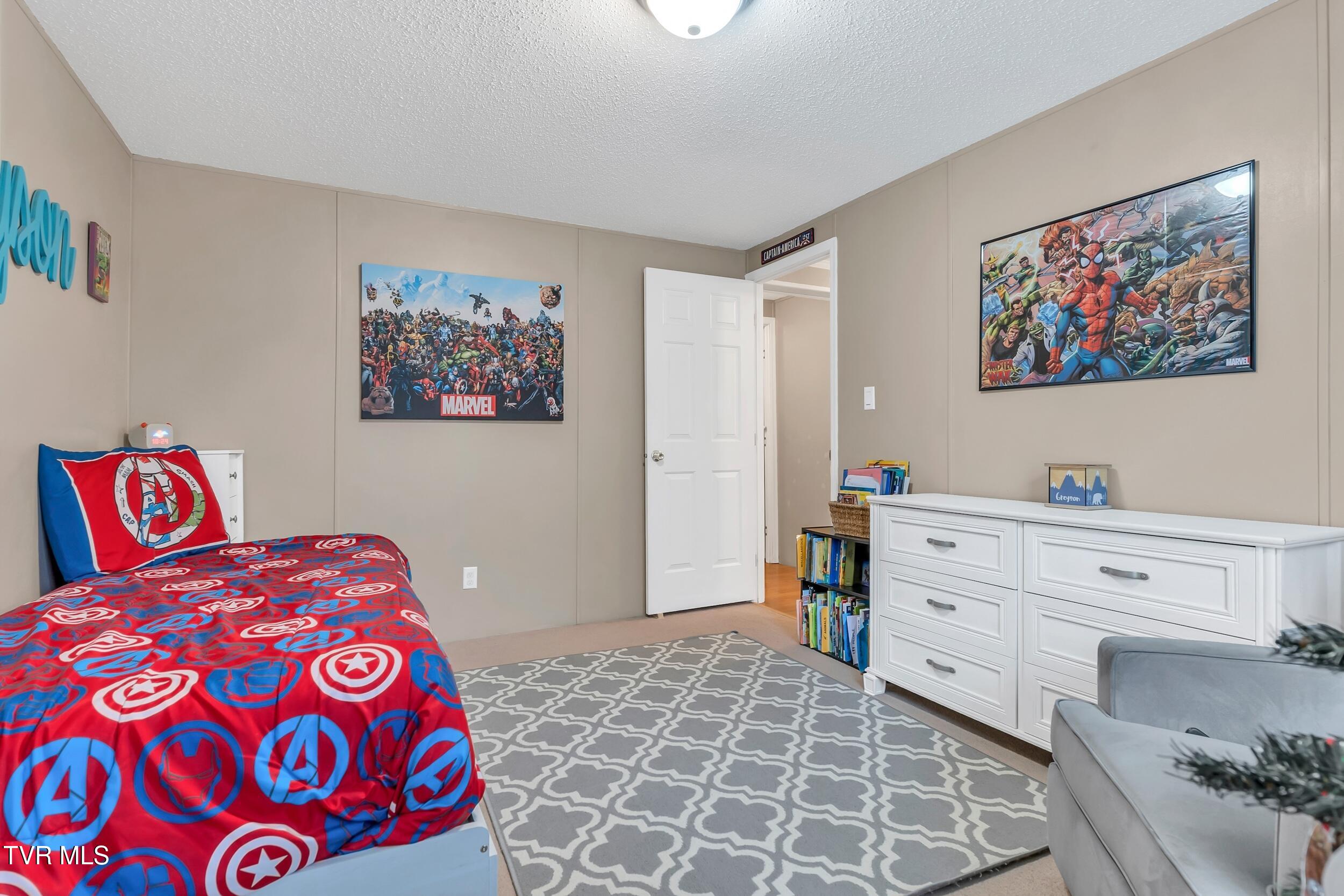 309 Sammons Pvt Drive, Blountville, Tennessee image 24