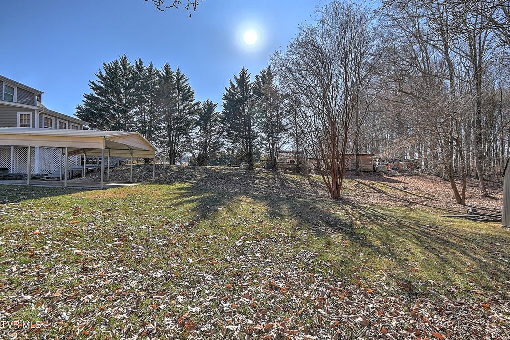 Photo of 191 Neeley Place, Blountville, TN 37617 (MLS # 9990434)