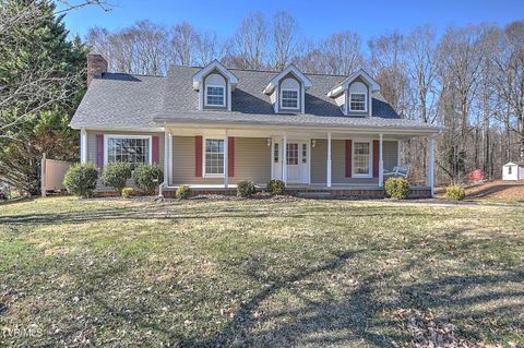 Photo of 191 Neeley Place, Blountville, TN 37617 (MLS # 9990434)