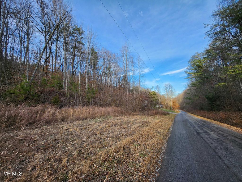 Photo of 0 Ensor Road, Church Hill, TN 37642 (MLS # 9990429)