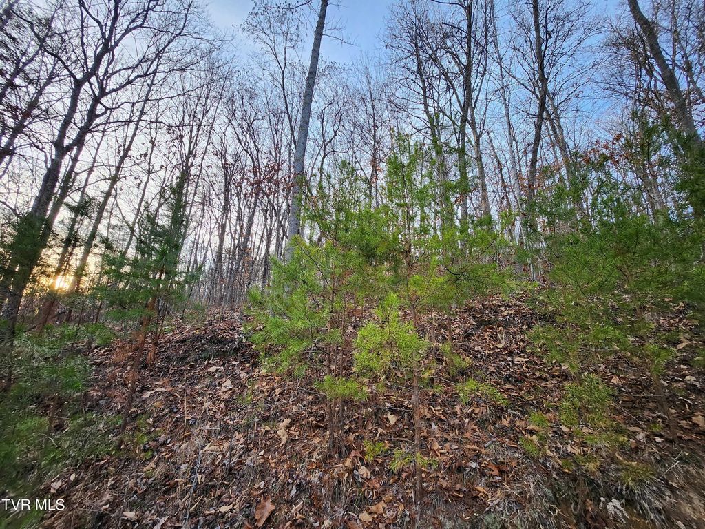 Photo of 0 Ensor Road, Church Hill, TN 37642 (MLS # 9990429)