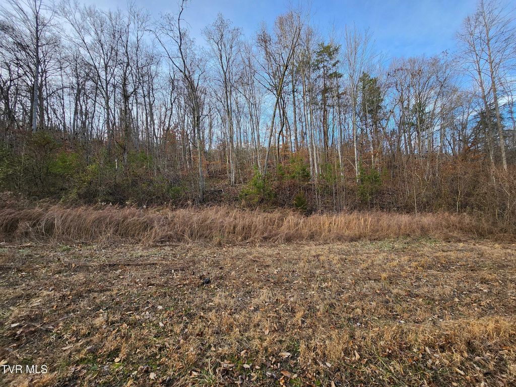 Photo of 0 Ensor Road, Church Hill, TN 37642 (MLS # 9990429)