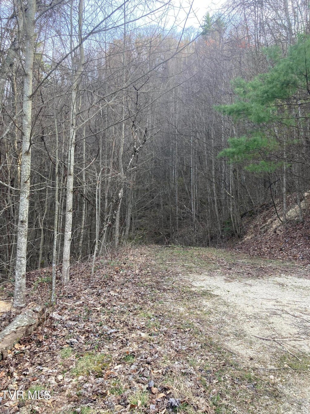 Photo of 1008 Locust Lane, Butler, TN 37640 (MLS # 10000488)