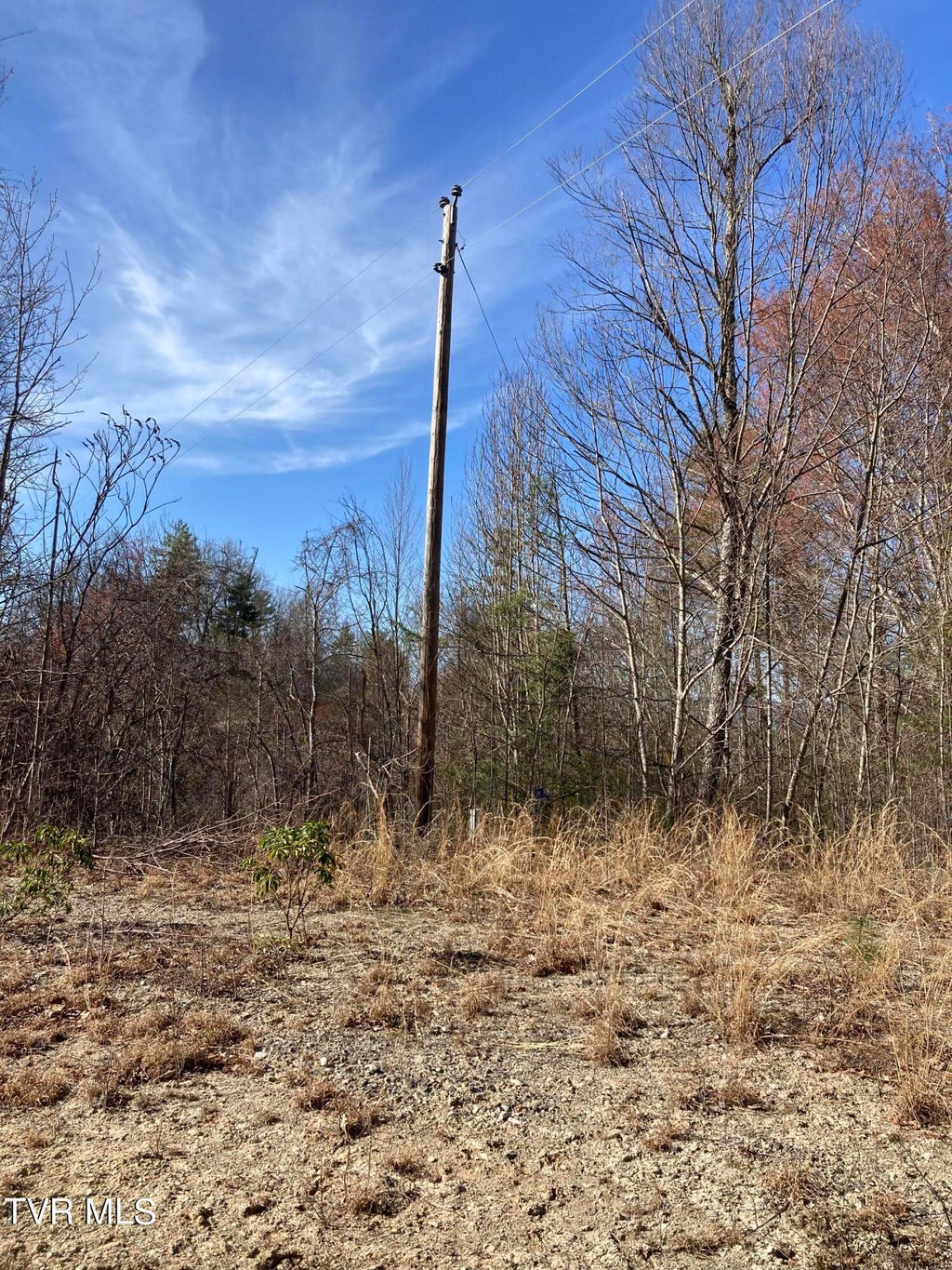 Photo of 1008 Locust Lane, Butler, TN 37640 (MLS # 10000488)