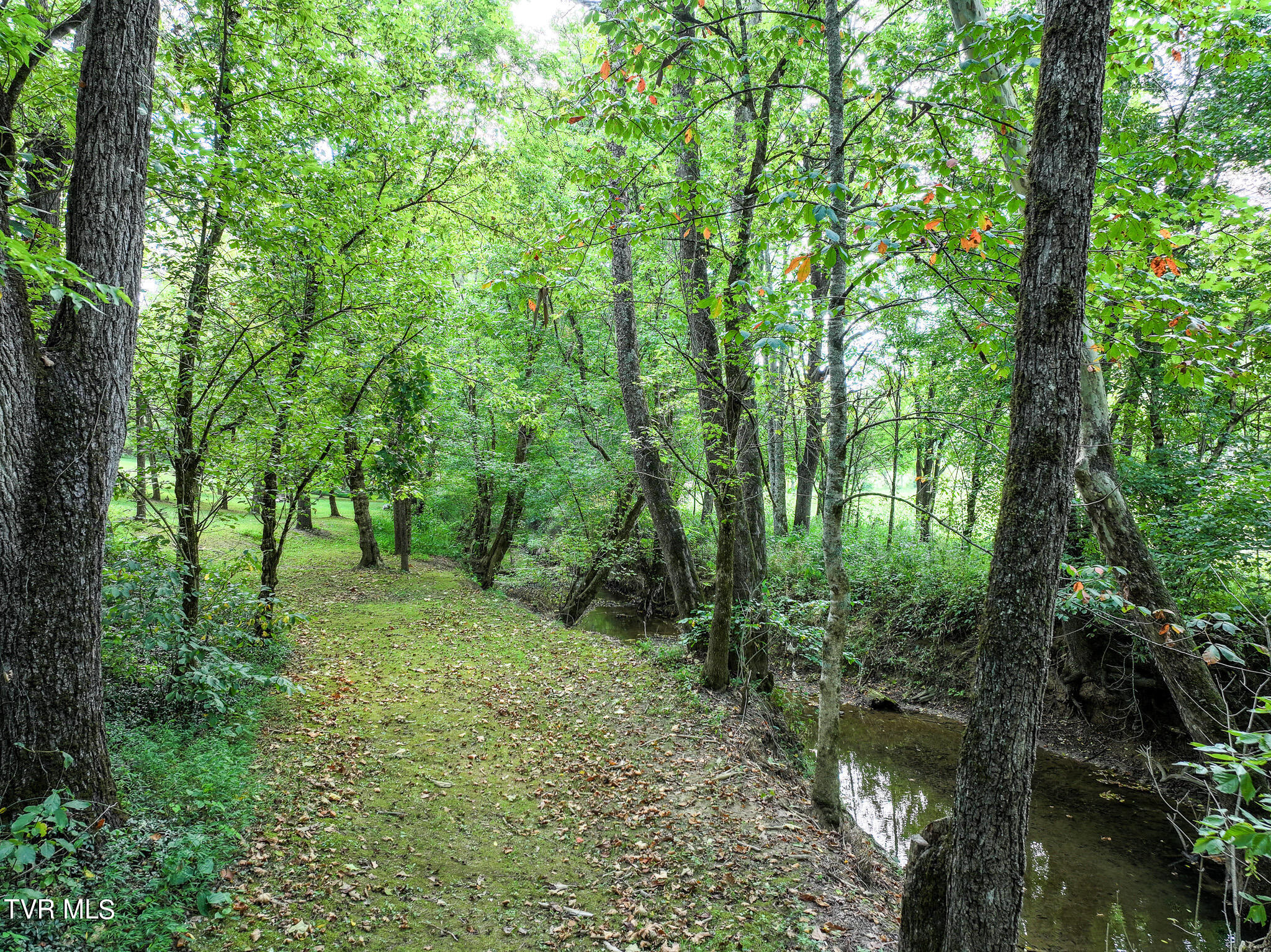 1427 Highway 340, Parrottsville, Tennessee image 18