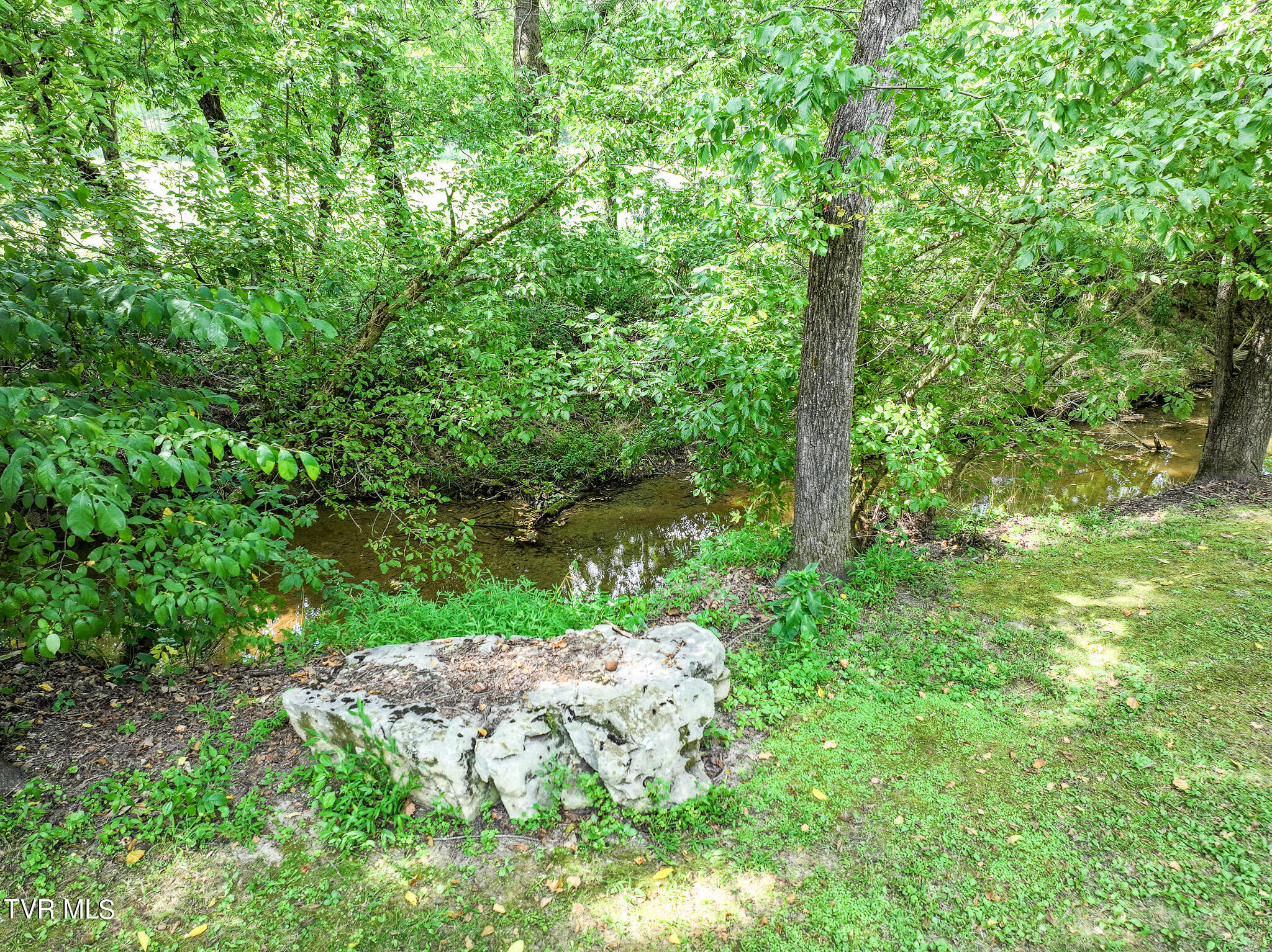 1427 Highway 340, Parrottsville, Tennessee image 15