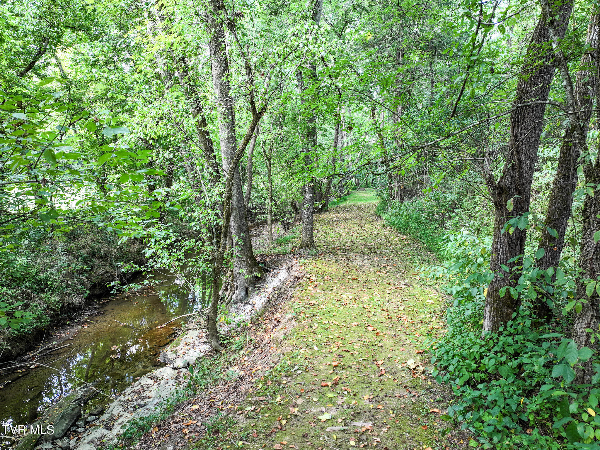 1427 Highway 340, Parrottsville, Tennessee image 17