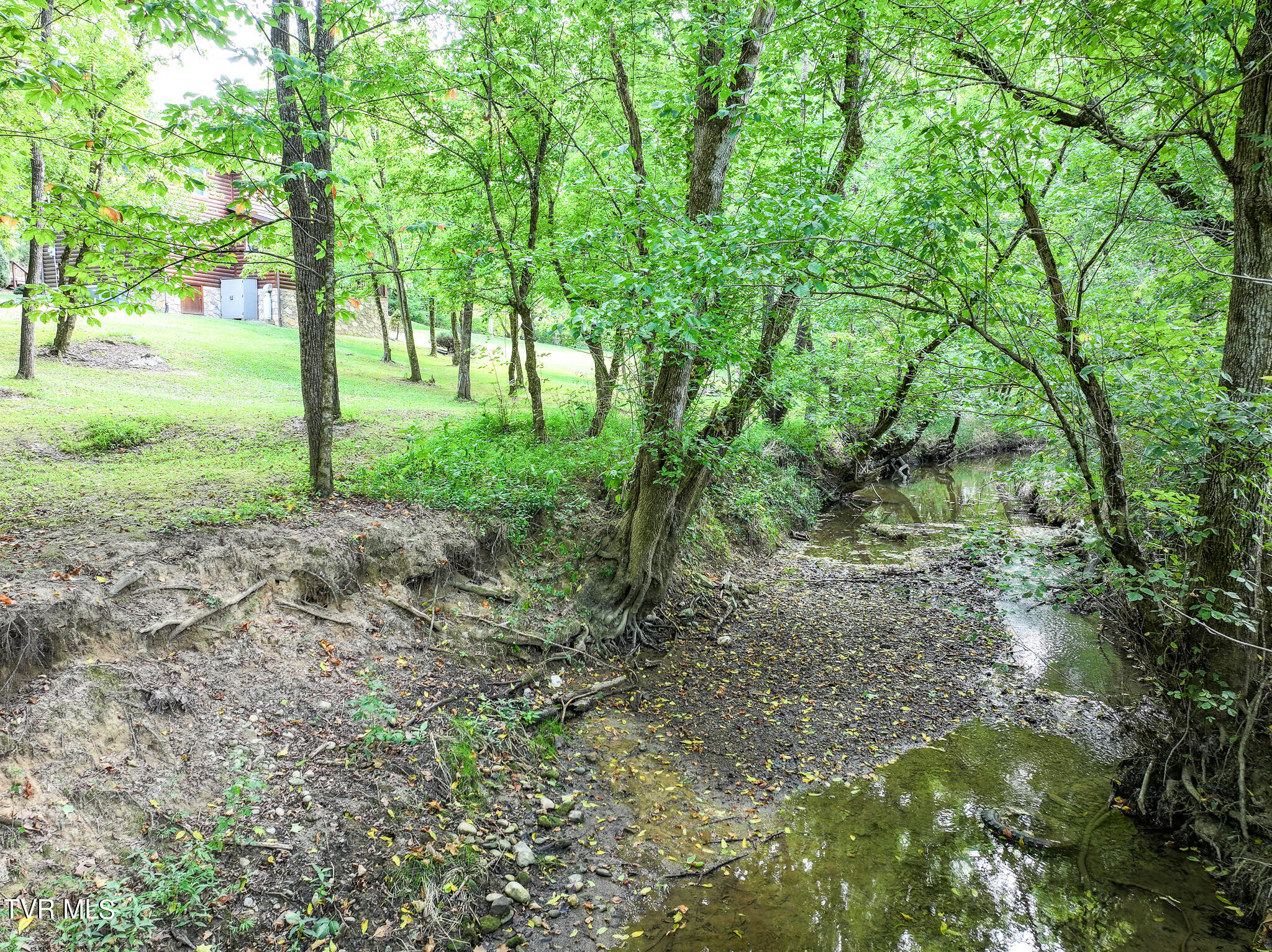1427 Highway 340, Parrottsville, Tennessee image 16