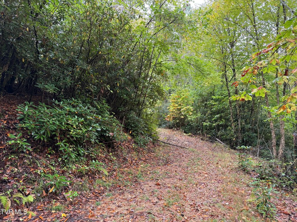 Photo of Tbd Clarktown Road, Roan Mountain, TN 37687 (MLS # 9986667)
